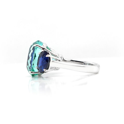 rg-25004-16.12  3.90  3.53 cts Paraiba with Oval Blue Sapphire Ring